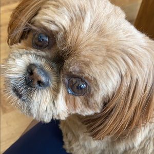 Meet your Posher, Jodi